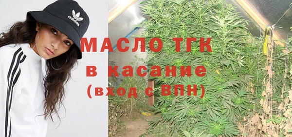 сатива Армянск