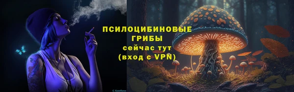 гидропоника Аркадак