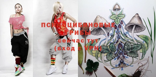 гидропоника Аркадак