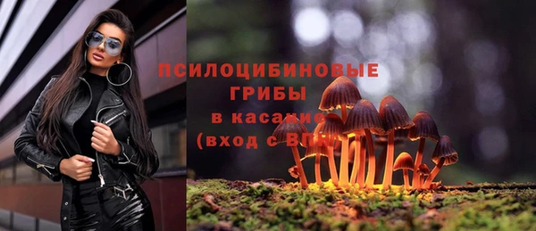 сатива Армянск