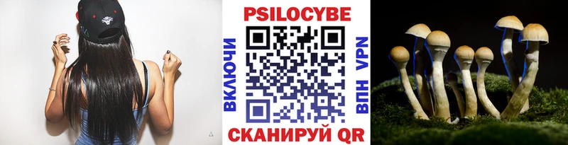 закладки  Полевской  Галлюциногенные грибы GOLDEN TEACHER 